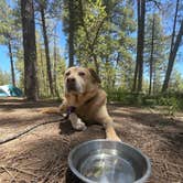 Review photo of Pumphouse Wash (FR 237) Dispersed Camping Area by Katherine J., May 26, 2023