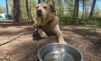 Katherine J.'s photo of a dispersed camping area at Pumphouse Wash (FR 237) Dispersed Camping Area near Coconino National Forest