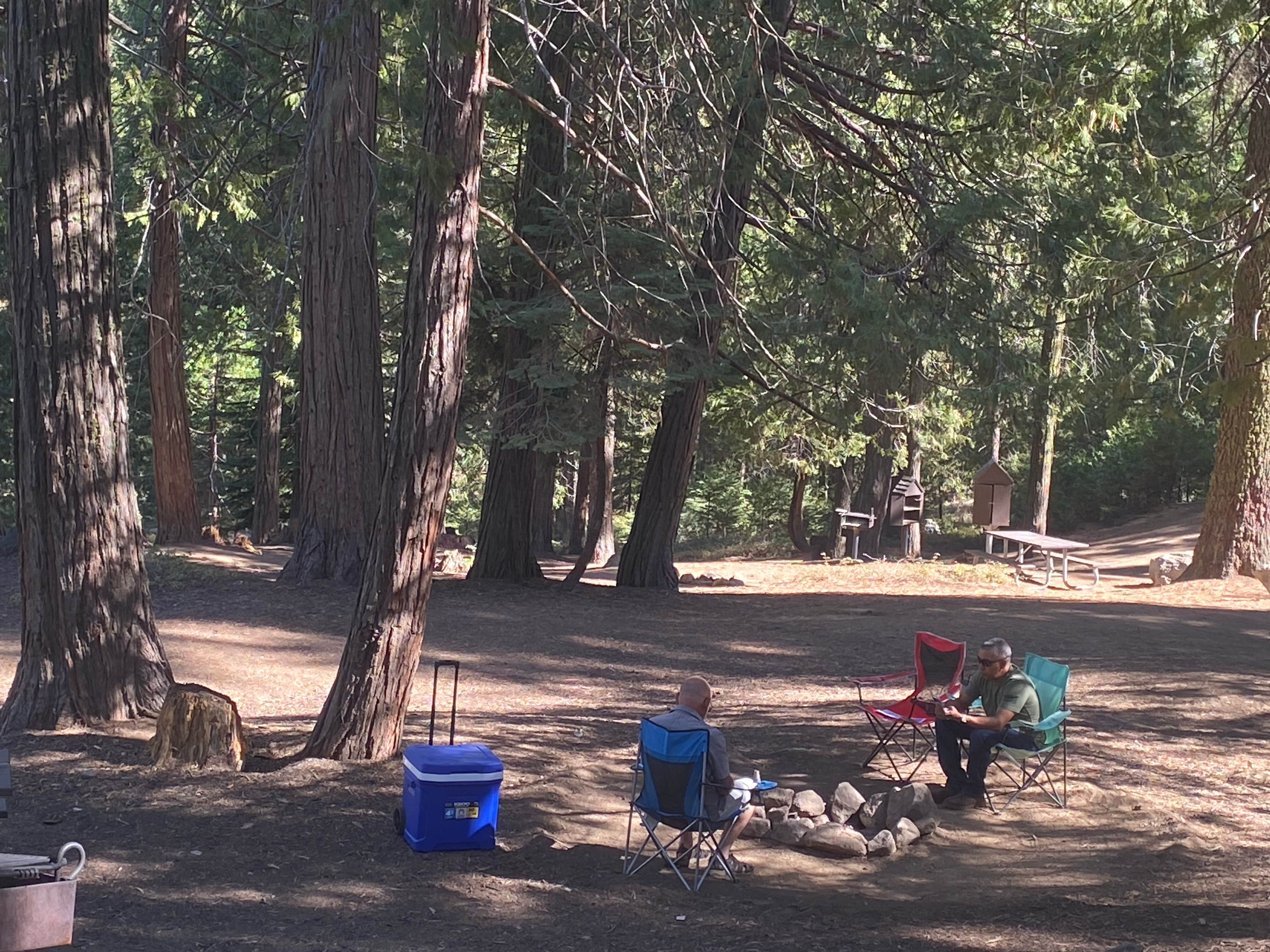 patricia C.'s photo at Camp Edison near Shaver Lake, CA