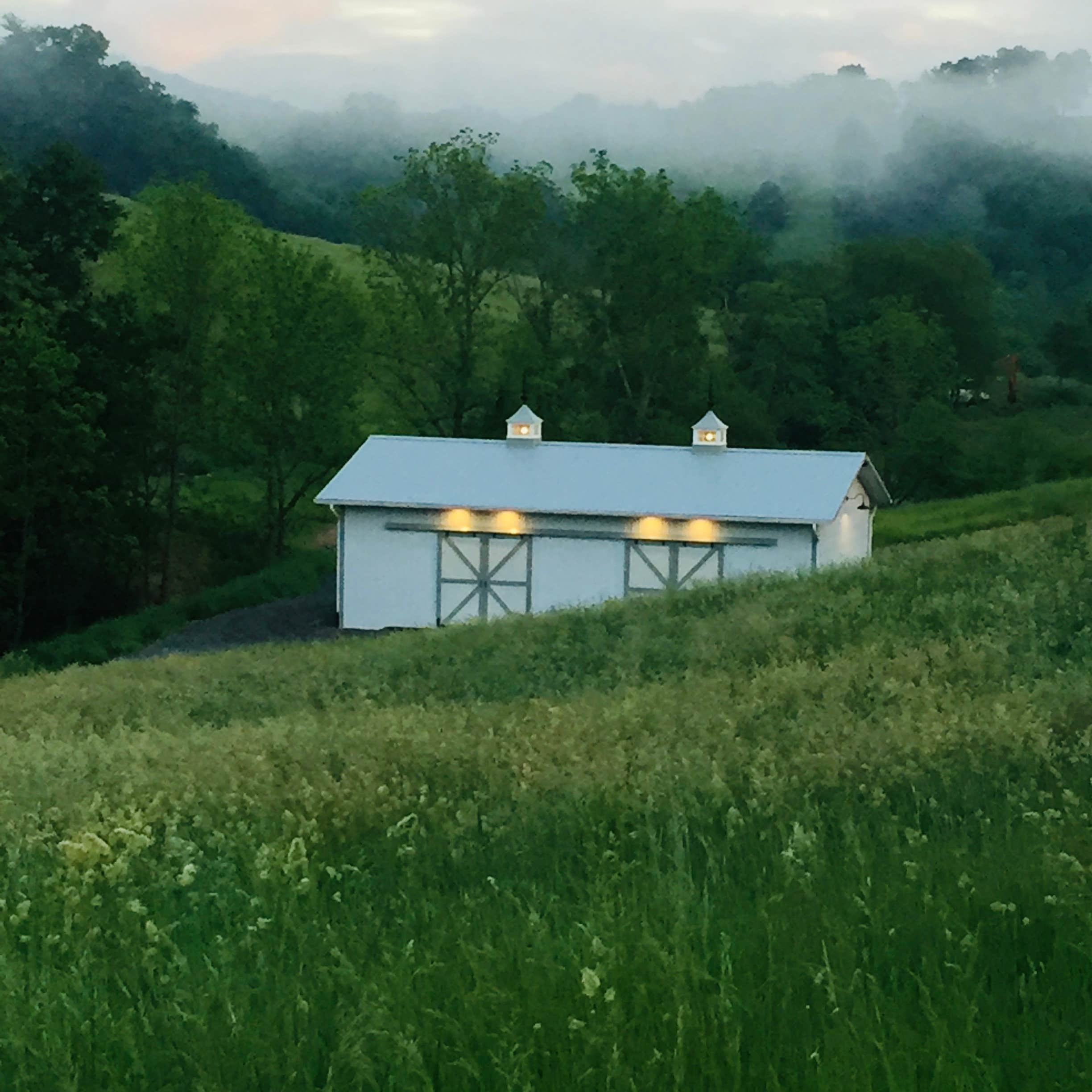 Camper submitted image from Smoky Mountain Mangalitsa Farm - 1