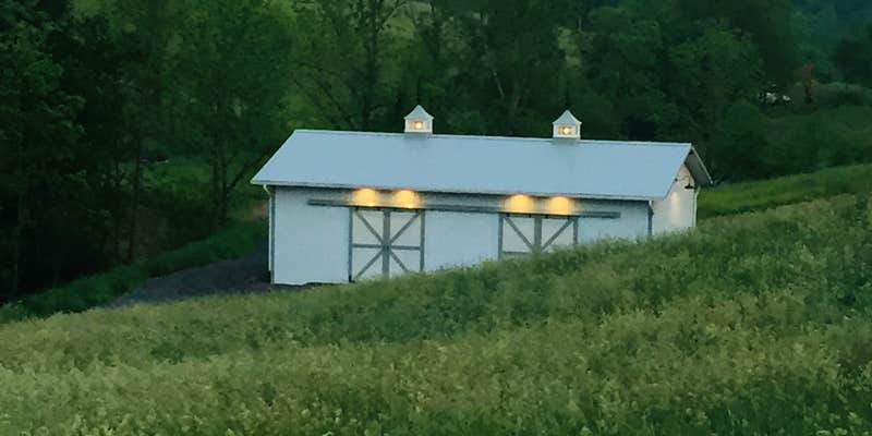 Camper submitted image from Smoky Mountain Mangalitsa Farm