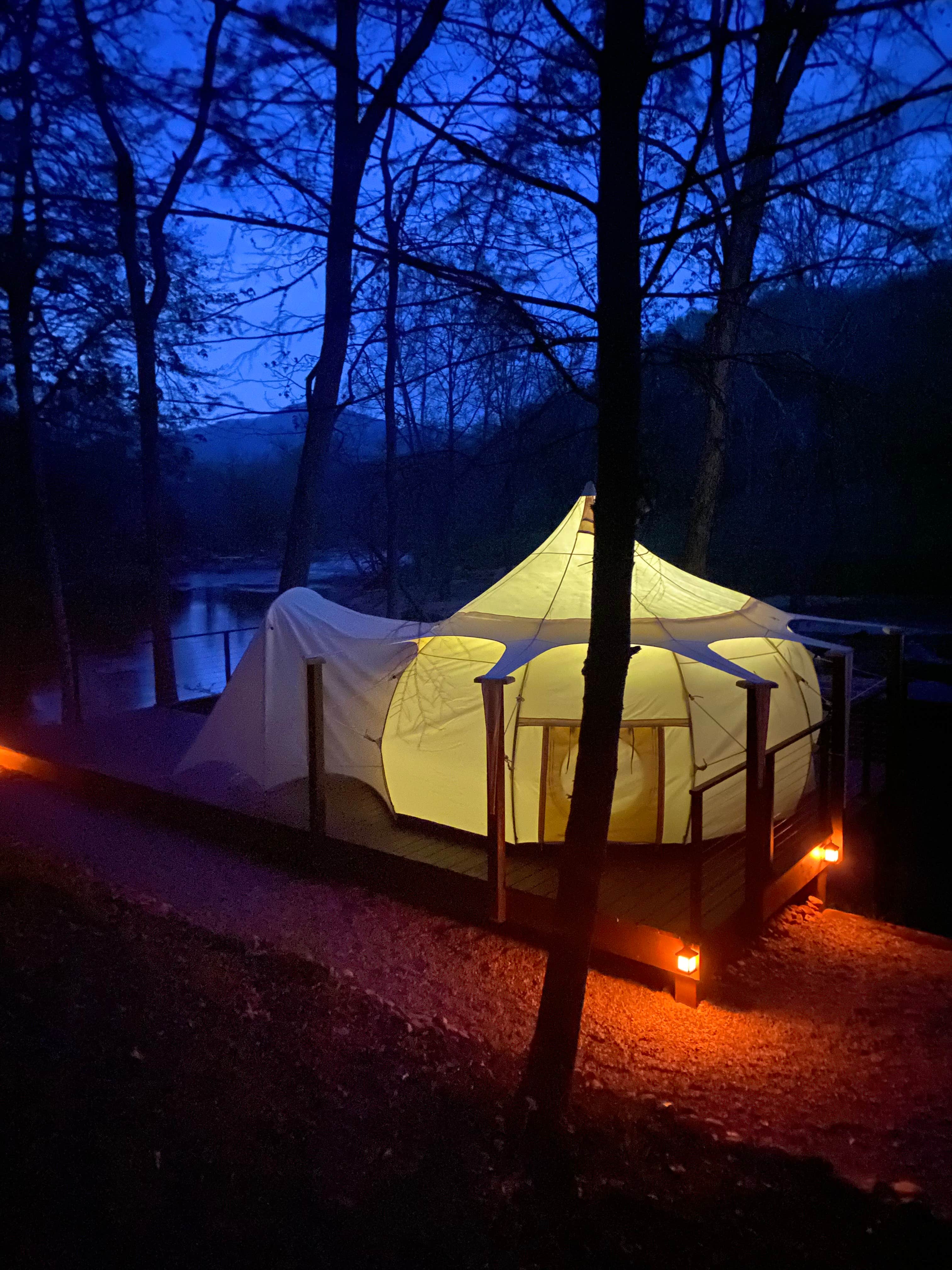 Catherine T.'s photo at Smoky Mountain Mangalitsa Farm near Canton, NC