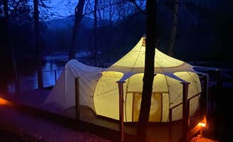Catherine T.'s photo at Smoky Mountain Mangalitsa Farm near Maggie Valley, NC