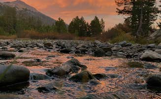 Claudia M.'s photo of a dispersed camping area at Bear Valley Dispersed Camping near Columbia, CA