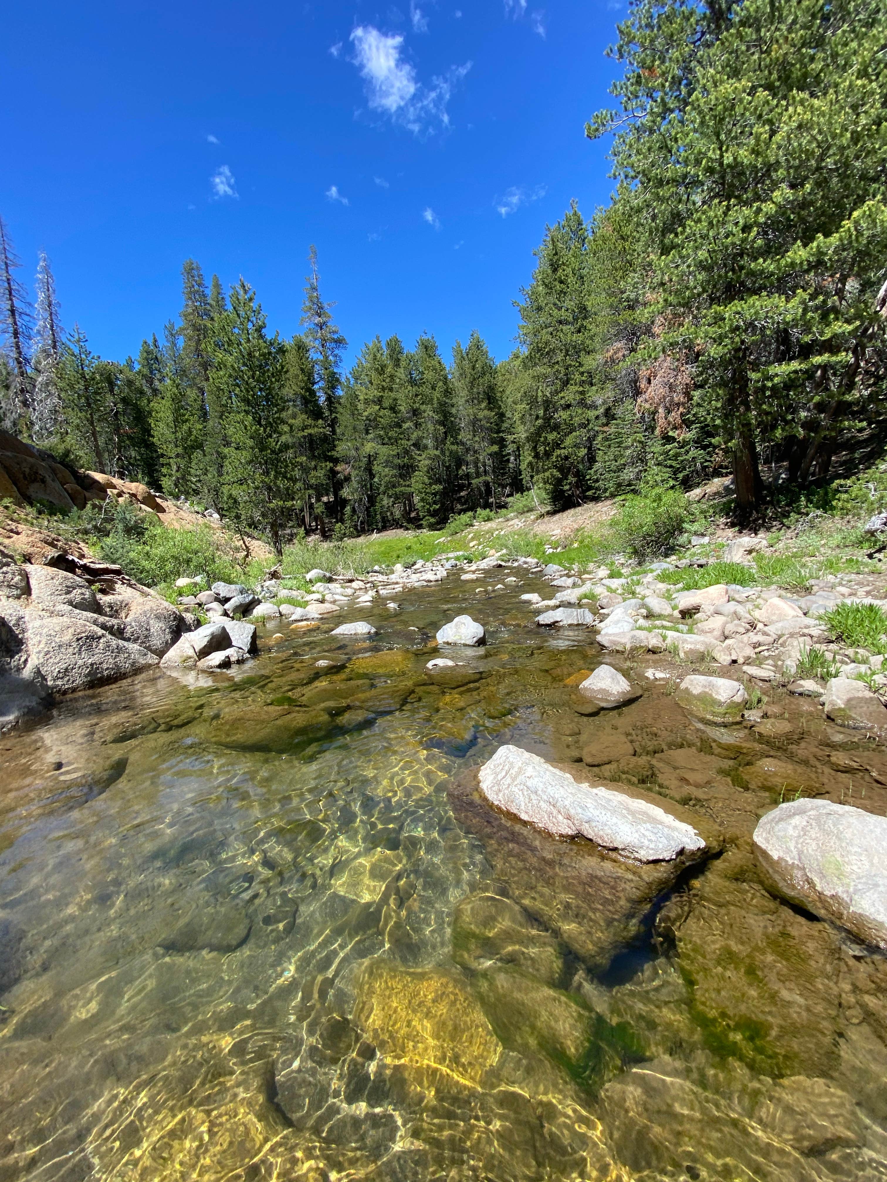 Camper-submitted photo at Bear Valley Dispersed Camping near Fort Jones, CA
