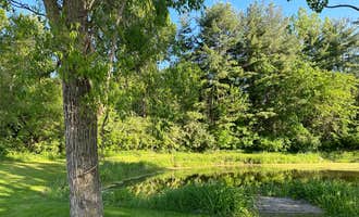 Camping near Fuller's Resort and Campground: Frogs 'n Hammocks, Berrien Center, Michigan