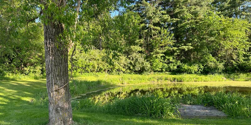 Camper submitted image from Frogs 'n Hammocks