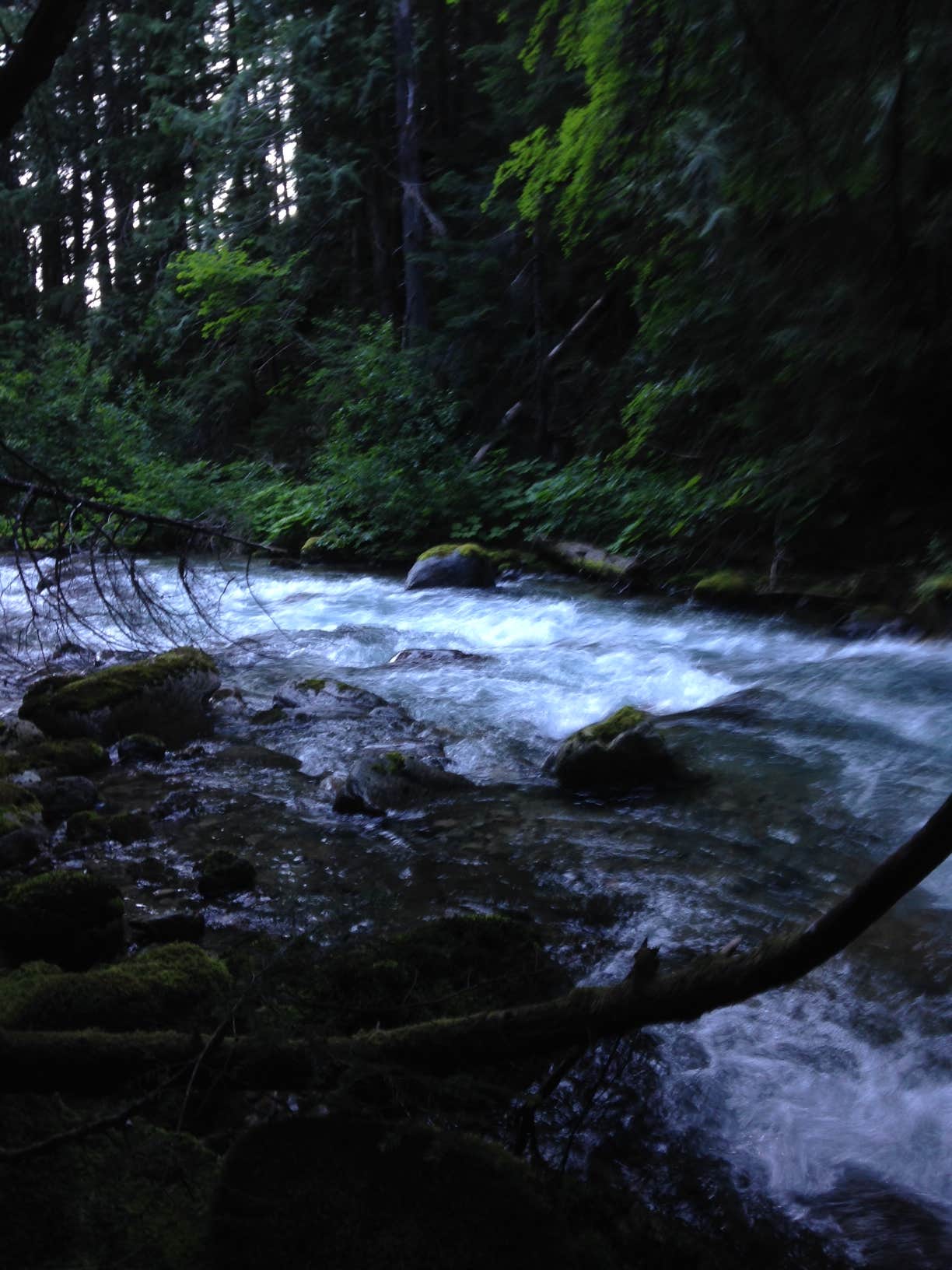 Camper submitted image from Panther Camp — Ross Lake National Recreation Area - 3