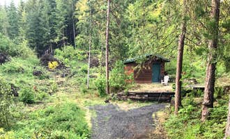 Camping near Silver Falls State Park Campground: Milk Ranch, Scotts Mills, Oregon