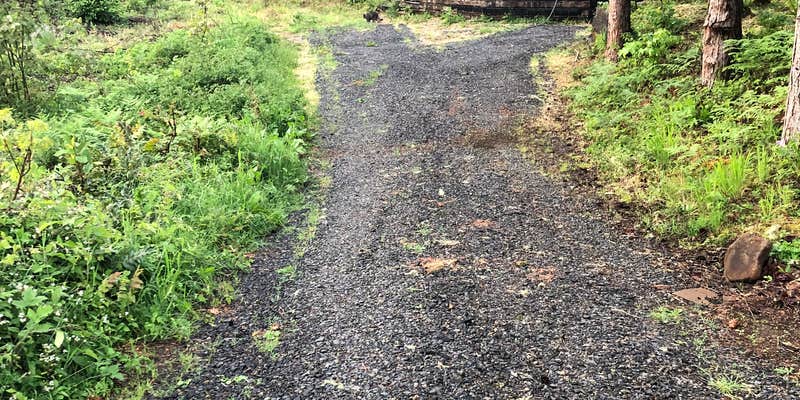 Camper submitted image from Milk Ranch