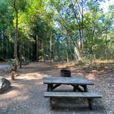 Review photo of Pfeiffer Big Sur State Park Campground by Susan Y., May 27, 2023