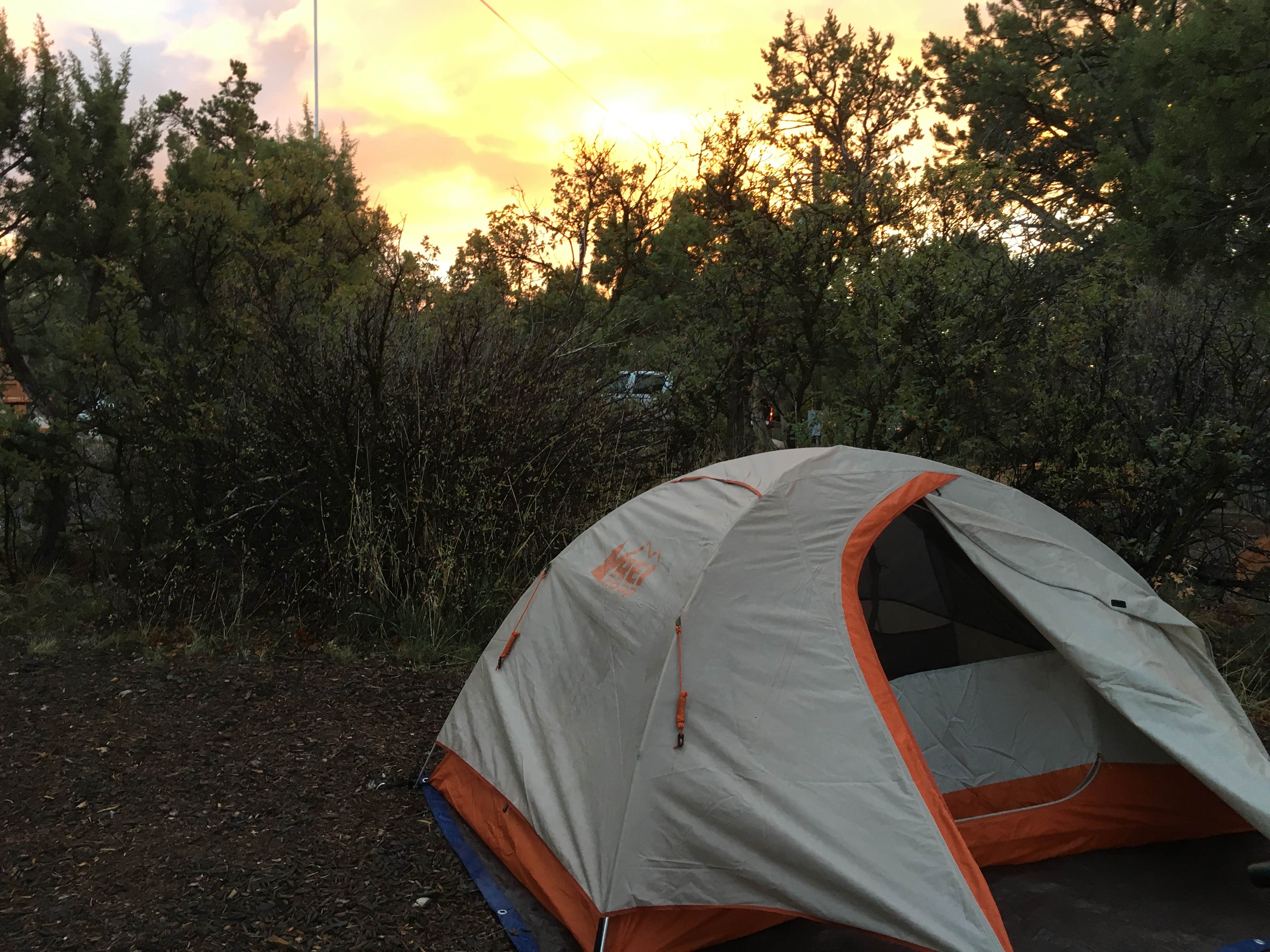 Camper submitted image from Oasis RV Resort and Cottages - 3