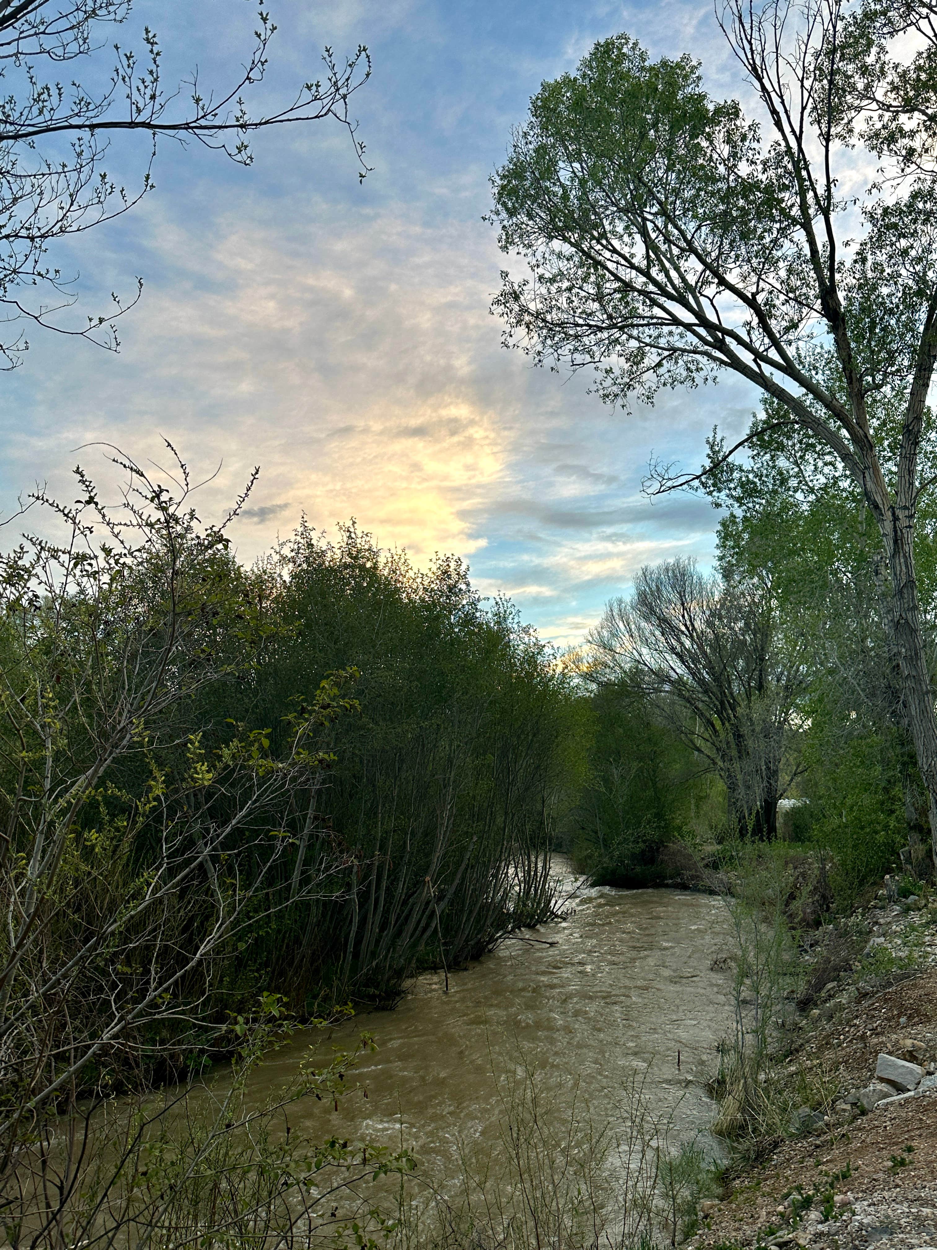 Camper submitted image from Questa Lodge & RV Resort - 4