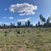 Review photo of Coconino Rim Road, Fire Road 310 Kaibab Forest by Kevin H., May 27, 2023