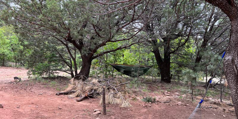 Camper submitted image from Manzano Mountains Camp