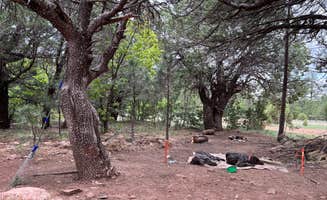 Greg R.'s photo of camping with pets at Manzano Mountains Camp near Tijeras, NM