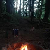 Review photo of Panther Camp — Ross Lake National Recreation Area by Hubbard G., August 19, 2016