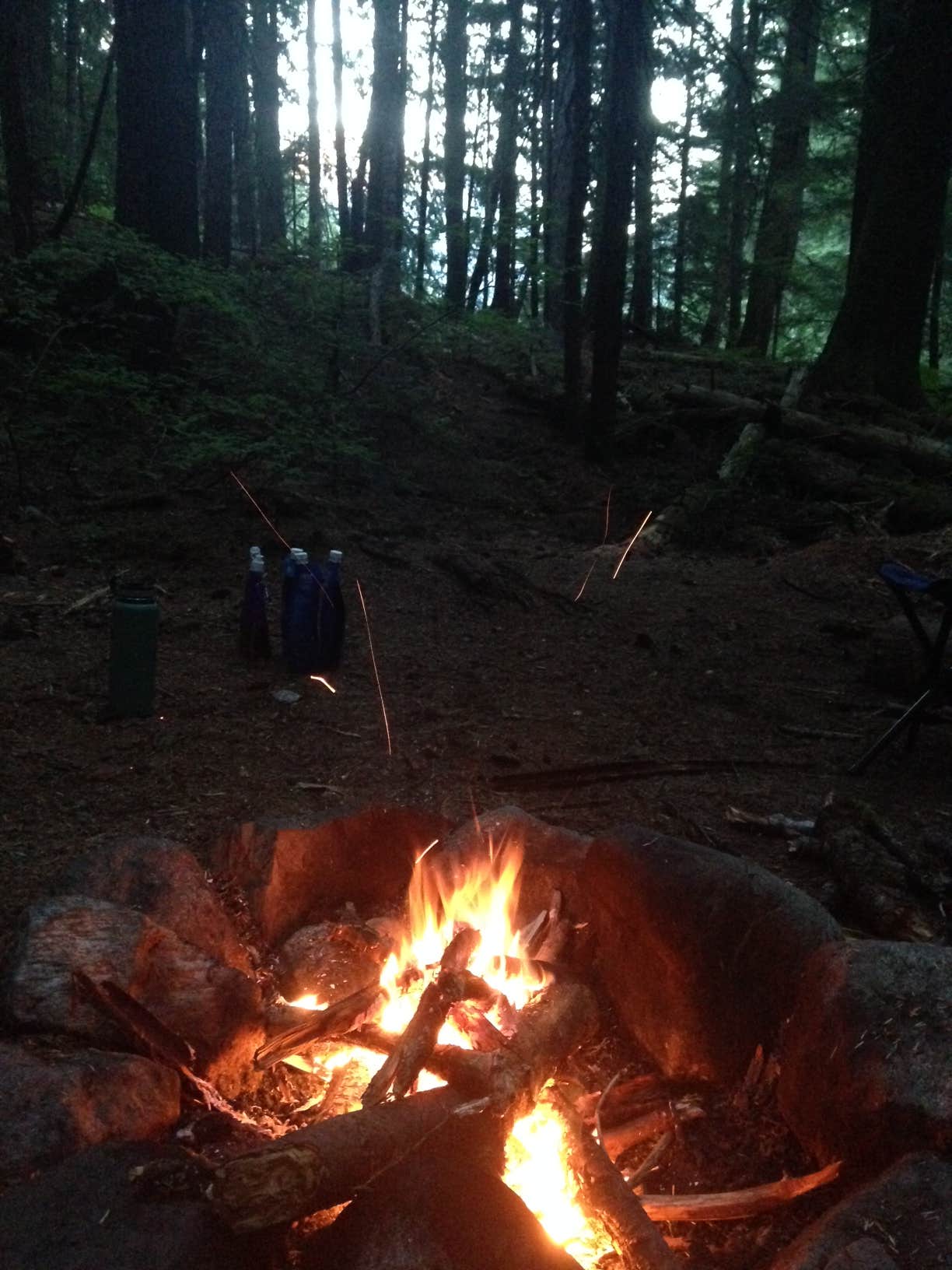 Camper submitted image from Panther Camp — Ross Lake National Recreation Area - 3