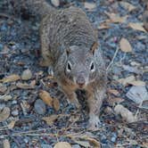 Review photo of McCabe Flat Campground by Ben R., May 27, 2023