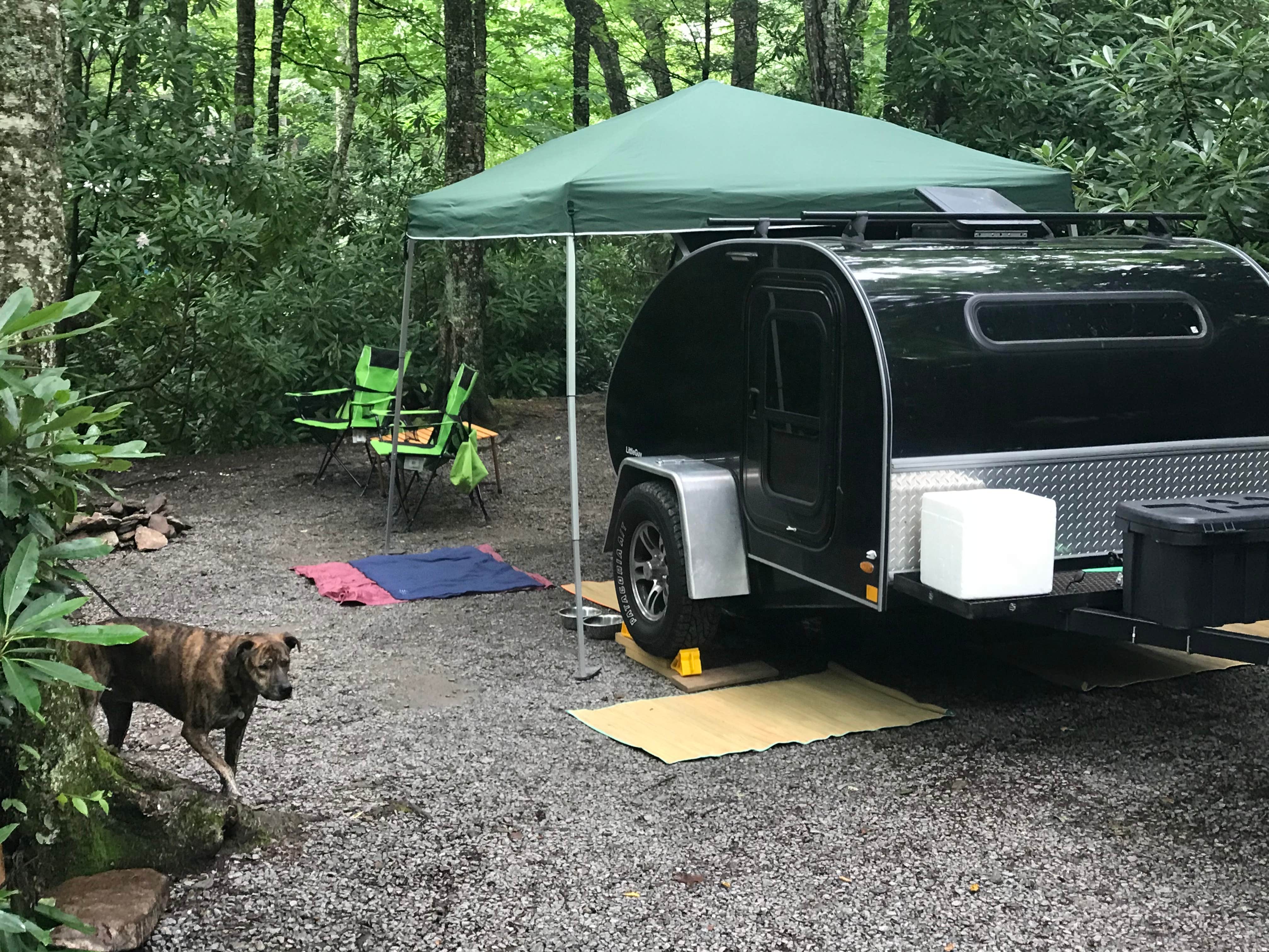 Steve V.'s photo at Honey Bear Campground near Vilas, NC