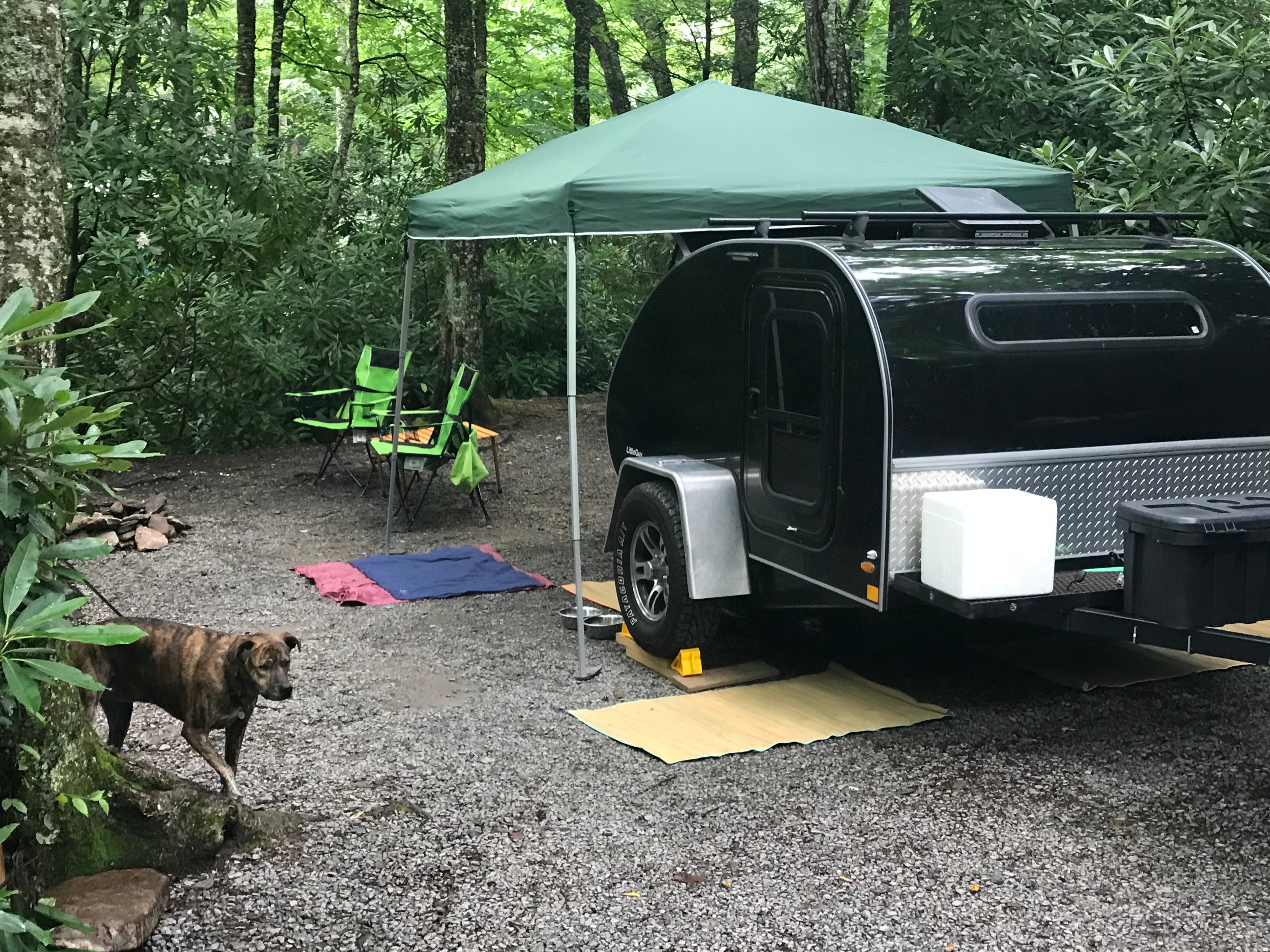 Camper submitted image from Honey Bear Campground - 3