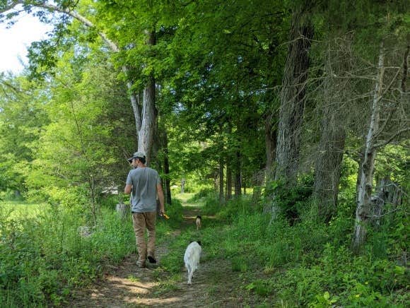 The Dyrt's photo of camping with pets at Tentrr Signature Site - Pastoral Paradise on 42-Acre Farm Close to NYC near Greenwich, CT