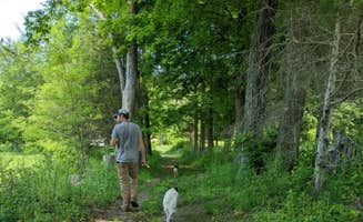 The Dyrt's photo of camping with pets at Tentrr Signature Site - Pastoral Paradise on 42-Acre Farm Close to NYC near Ridgefield, CT