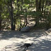 Review photo of Bonita Canyon Campground — Chiricahua National Monument by BikerMonkey , May 27, 2023