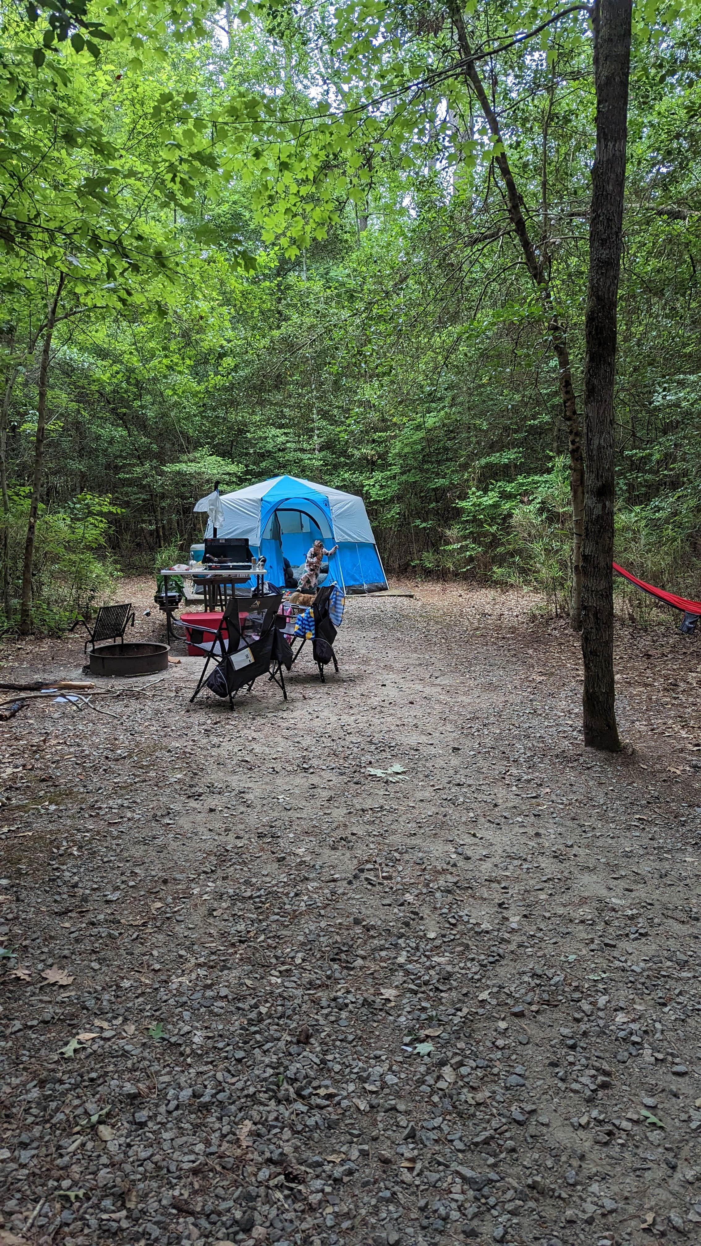 Kaylee G.'s photo at Family Campground — Merchants Millpond State Park near Moyock, NC