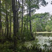 Review photo of Merchants Millpond State Park Campground by Kaylee G., May 27, 2023