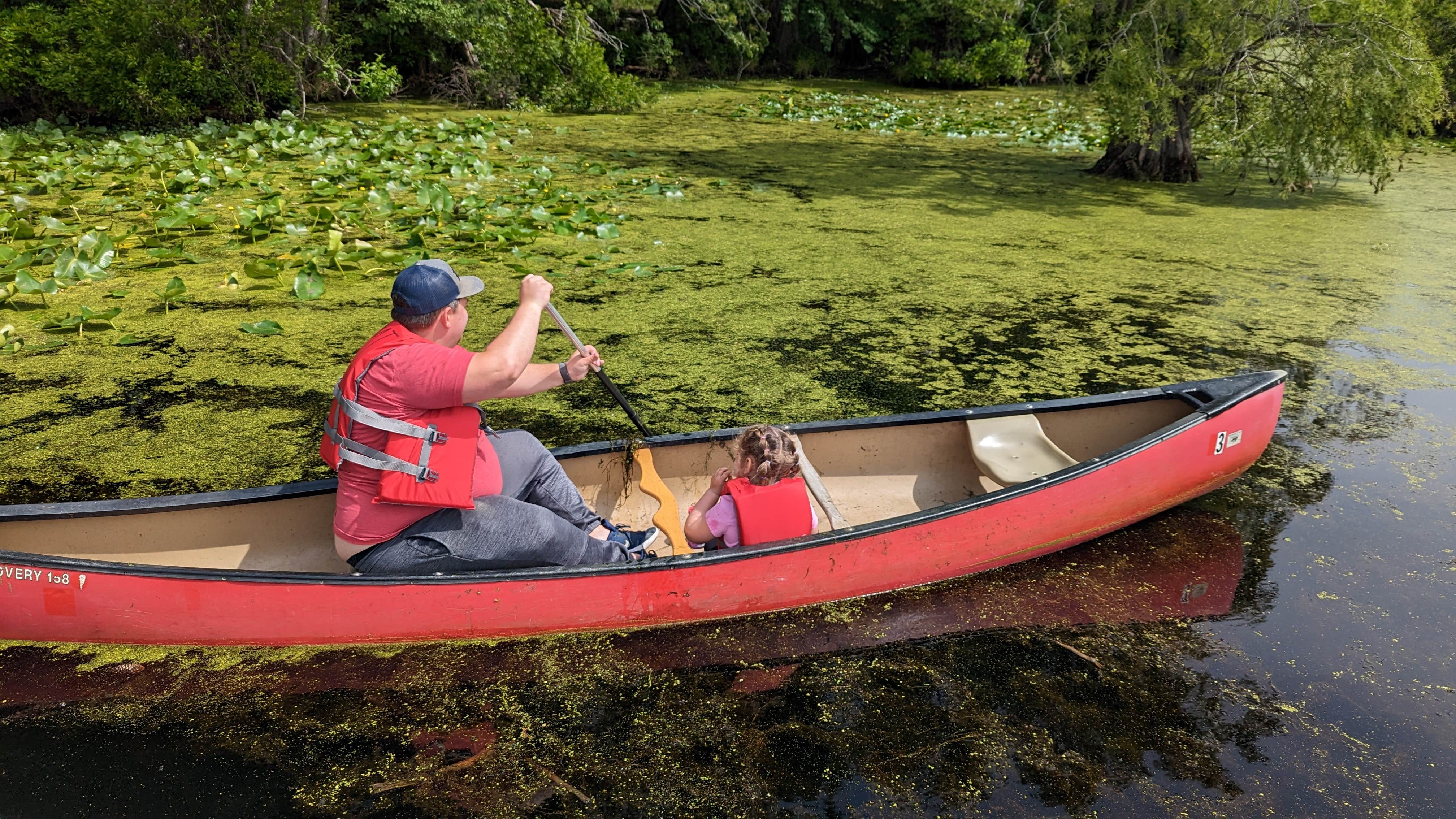 Merchants Millpond, the Most Remote State Park in North Carolina -  Explanders