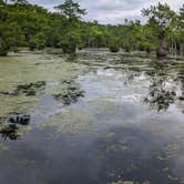 Review photo of Merchants Millpond State Park Campground by Kaylee G., May 27, 2023