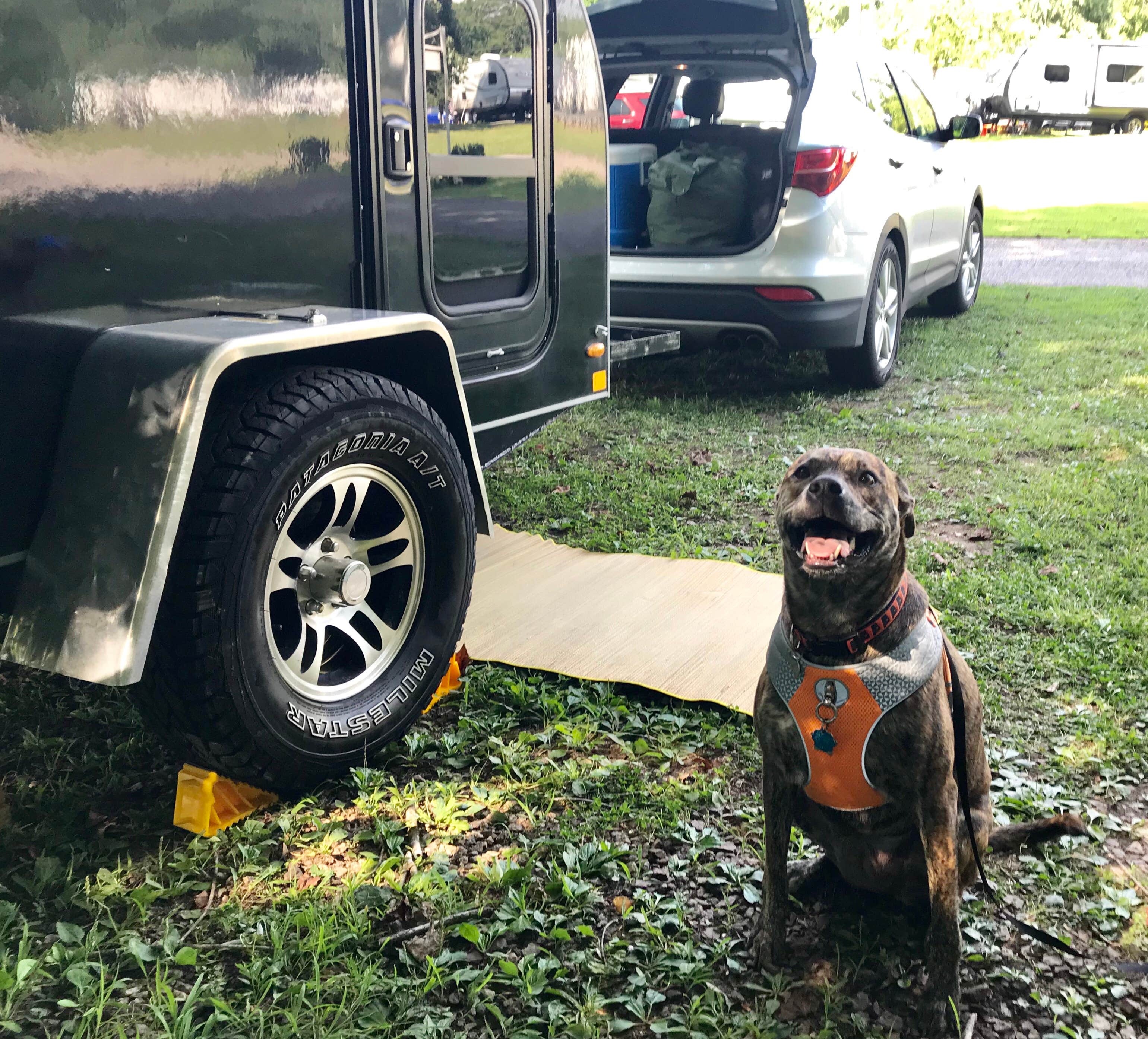 Steve V.'s photo of rv camping at Statesville RV Park I-77 near Elkin, NC