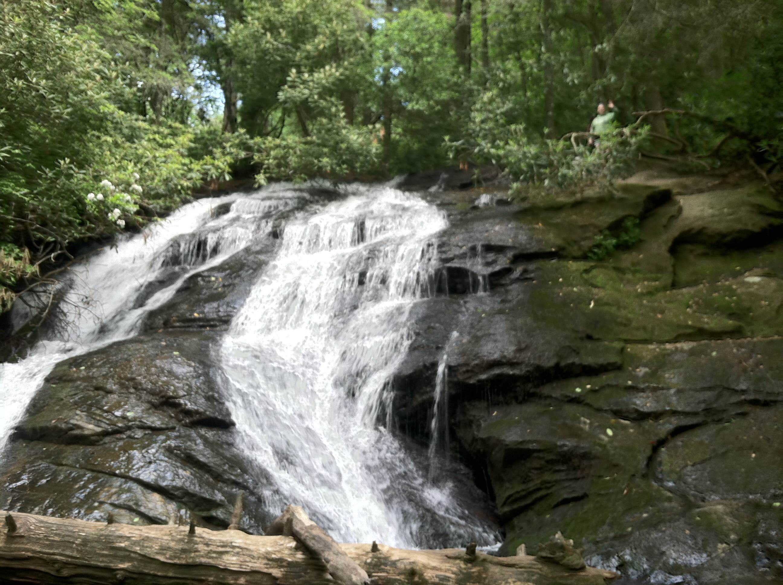Camper-submitted photo at Long Creek Falls Appalachian Trail near Nelson, GA