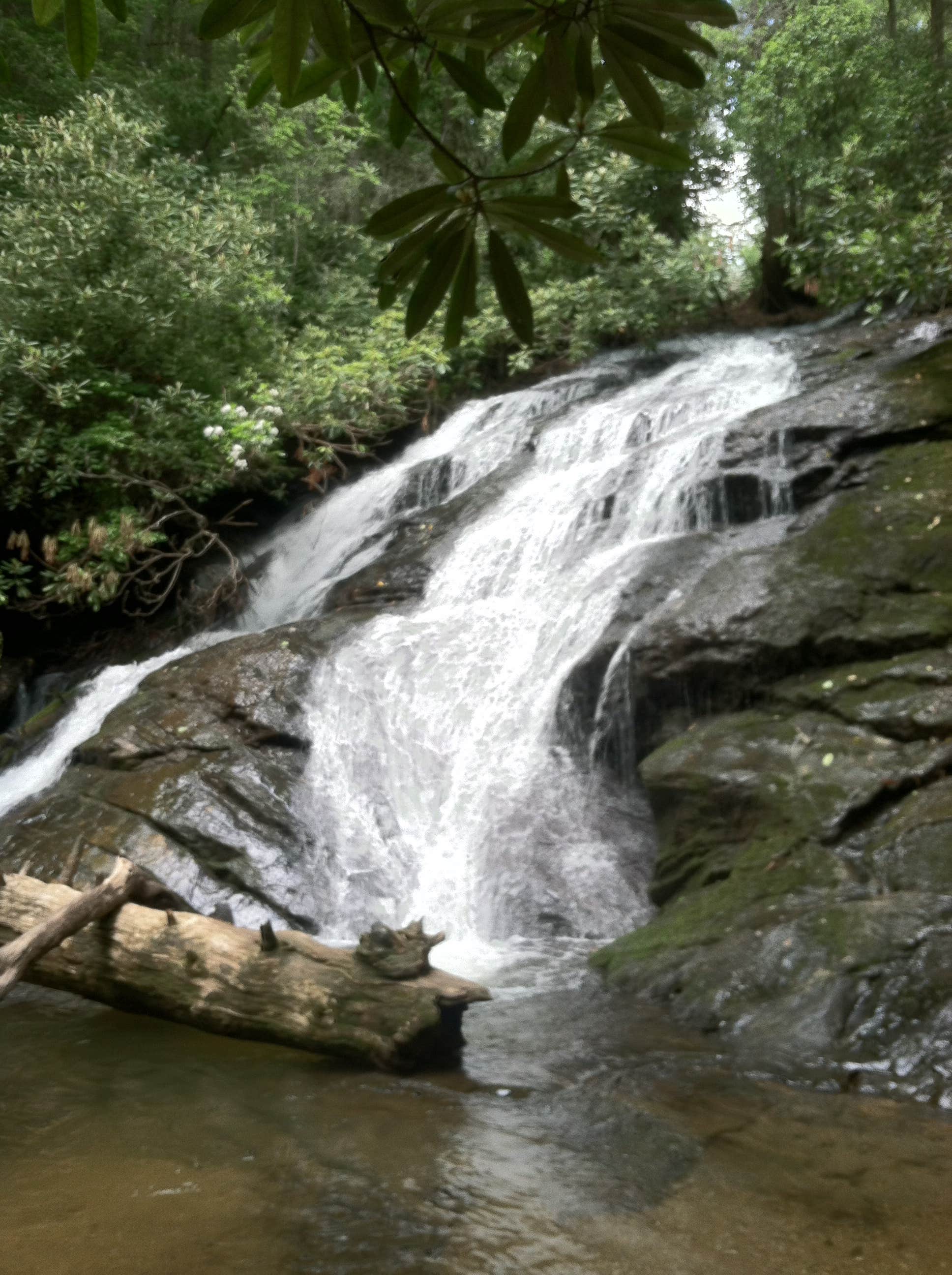 Camper submitted image from Long Creek Falls Appalachian Trail - 1