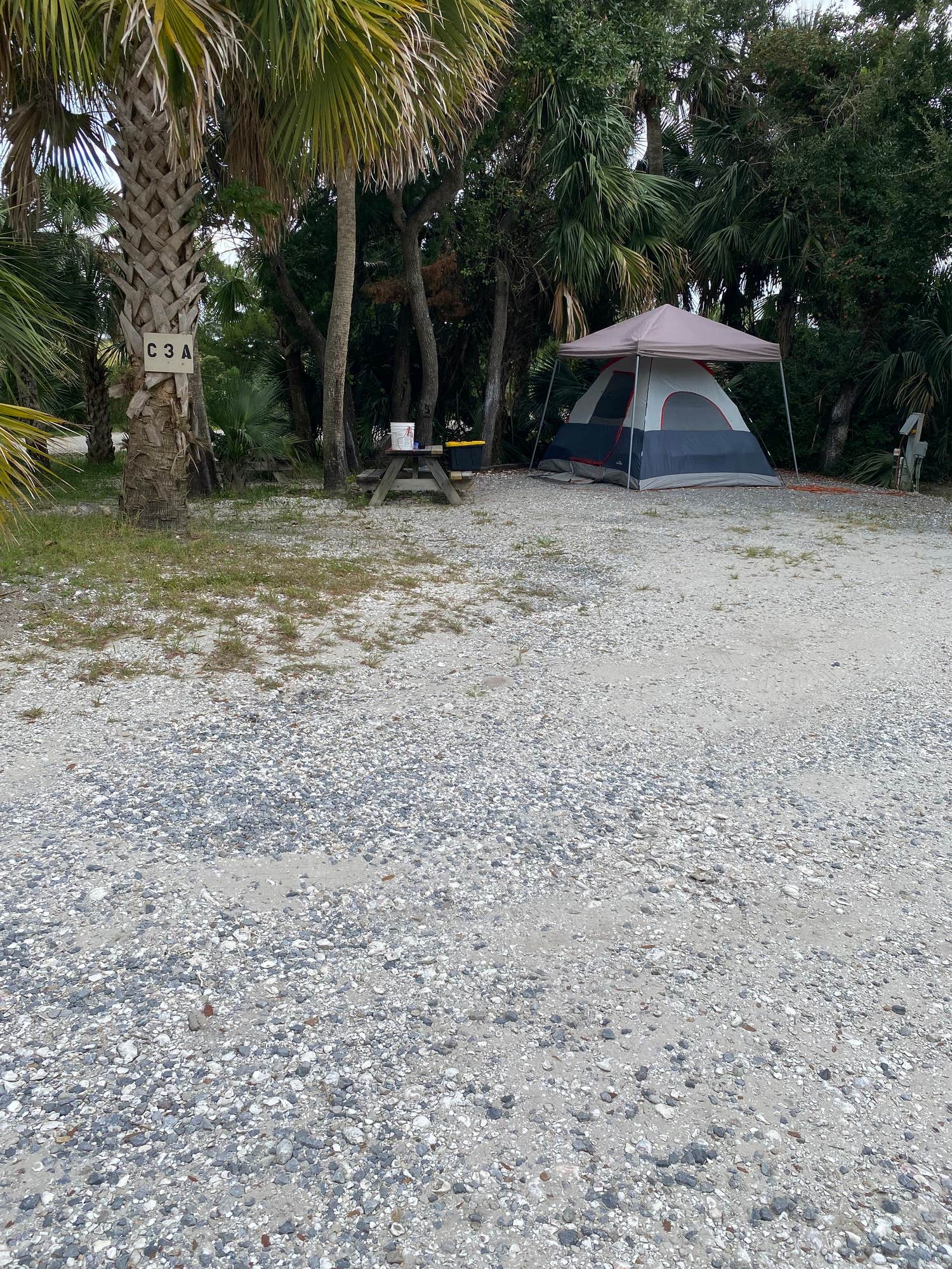 The Dyrt's photo at Indian Pass Campground near Sumatra, FL