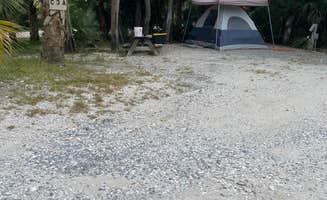 The Dyrt's photo at Indian Pass Campground near Mexico Beach, FL