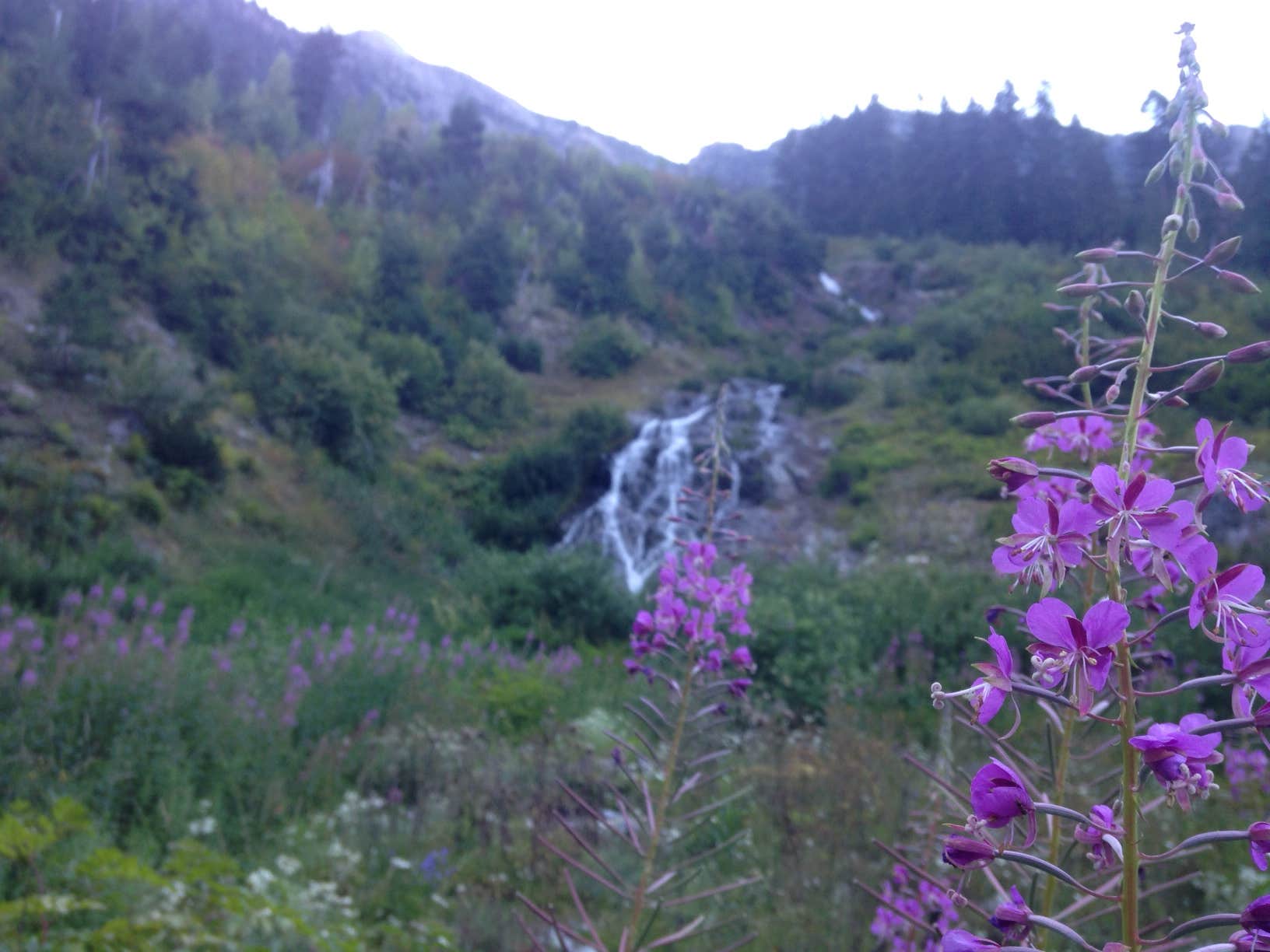 Camper-submitted photo at Panther Camp — Ross Lake National Recreation Area near North Cascades National Park