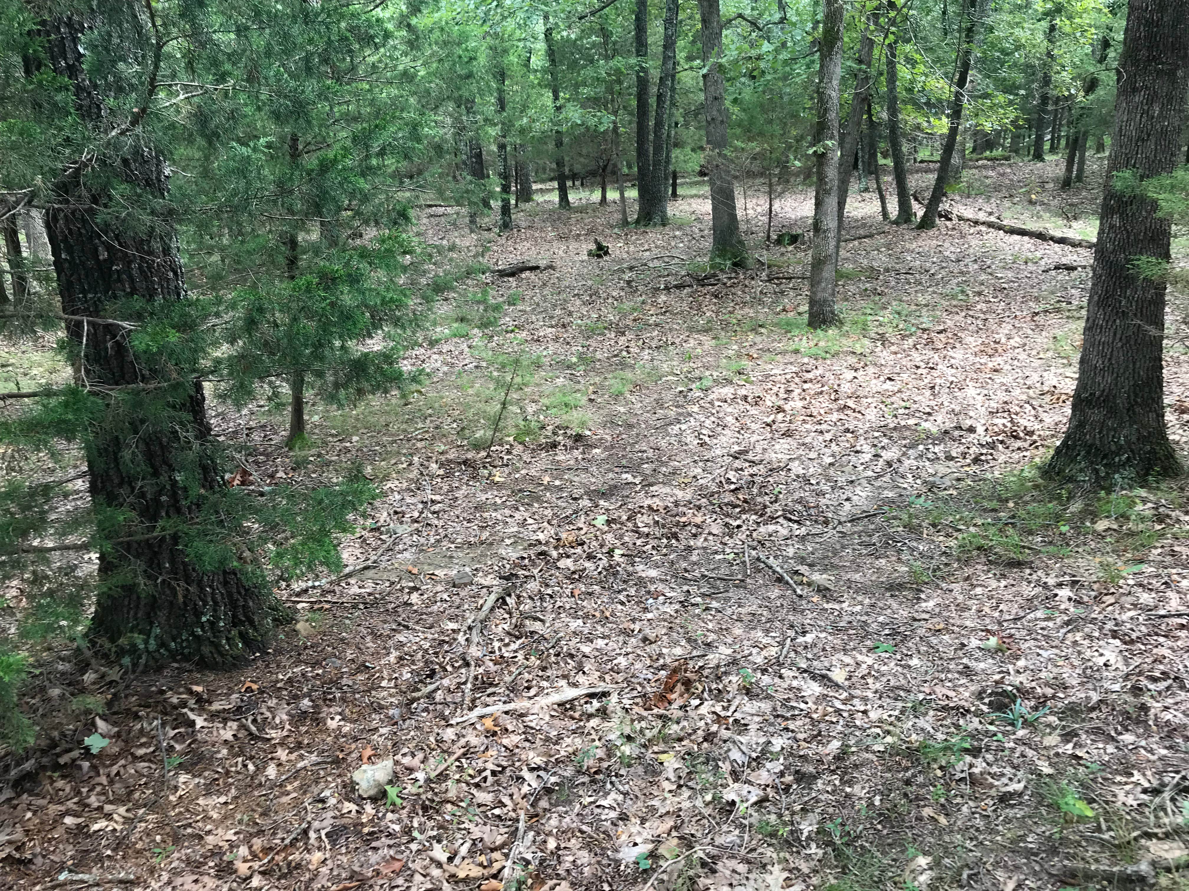 Camper-submitted photo at Anutty Farm near Fort Leonard Wood, MO