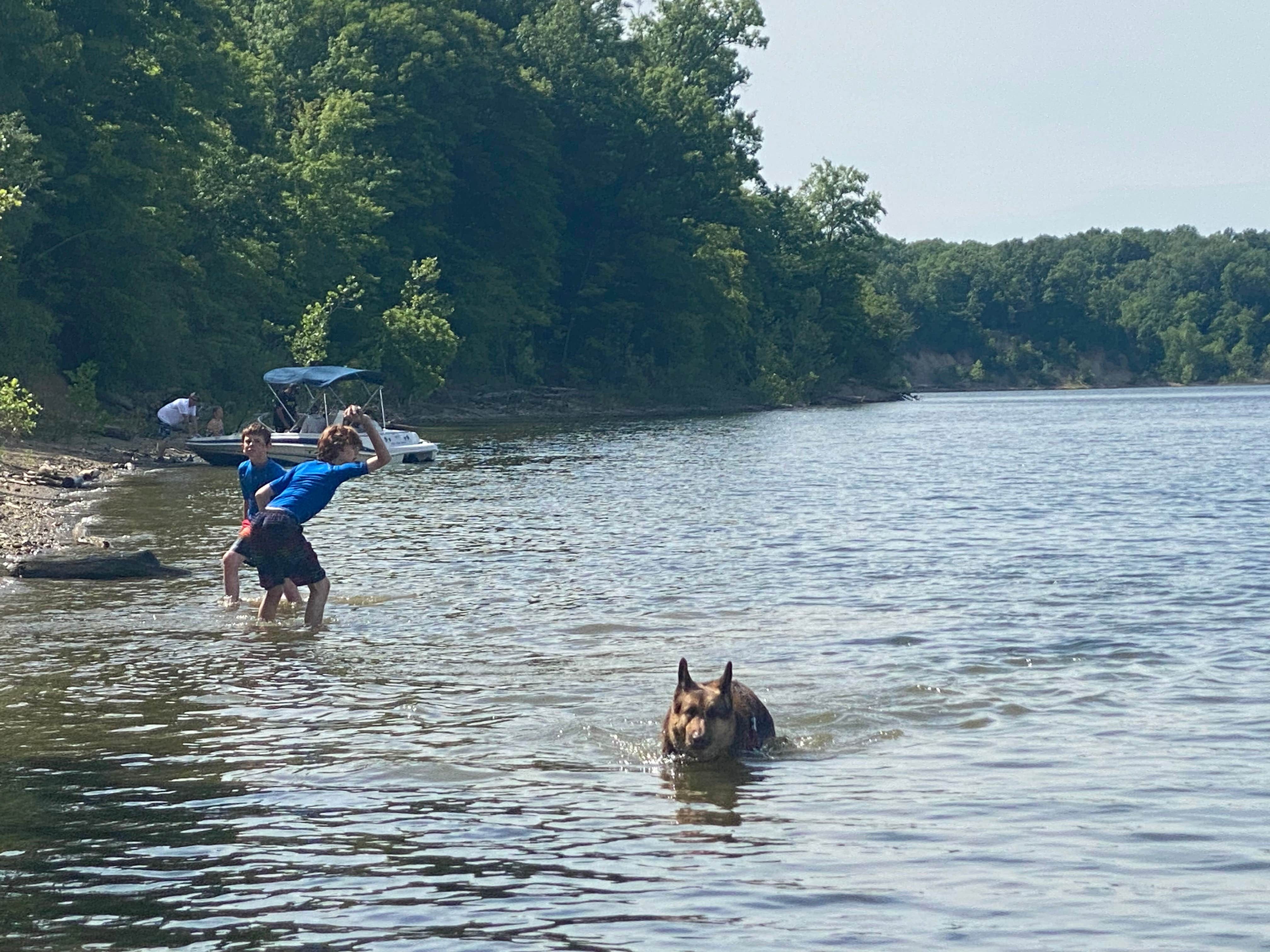 Candace's photo of camping with pets at Caesar Creek State Park Campground near Troy, OH