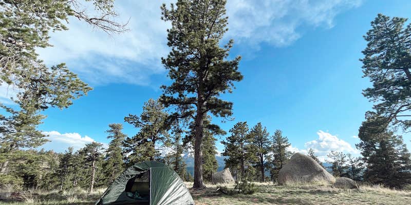 Camper submitted image from Cascade-Chipita Park/Woodland Park
