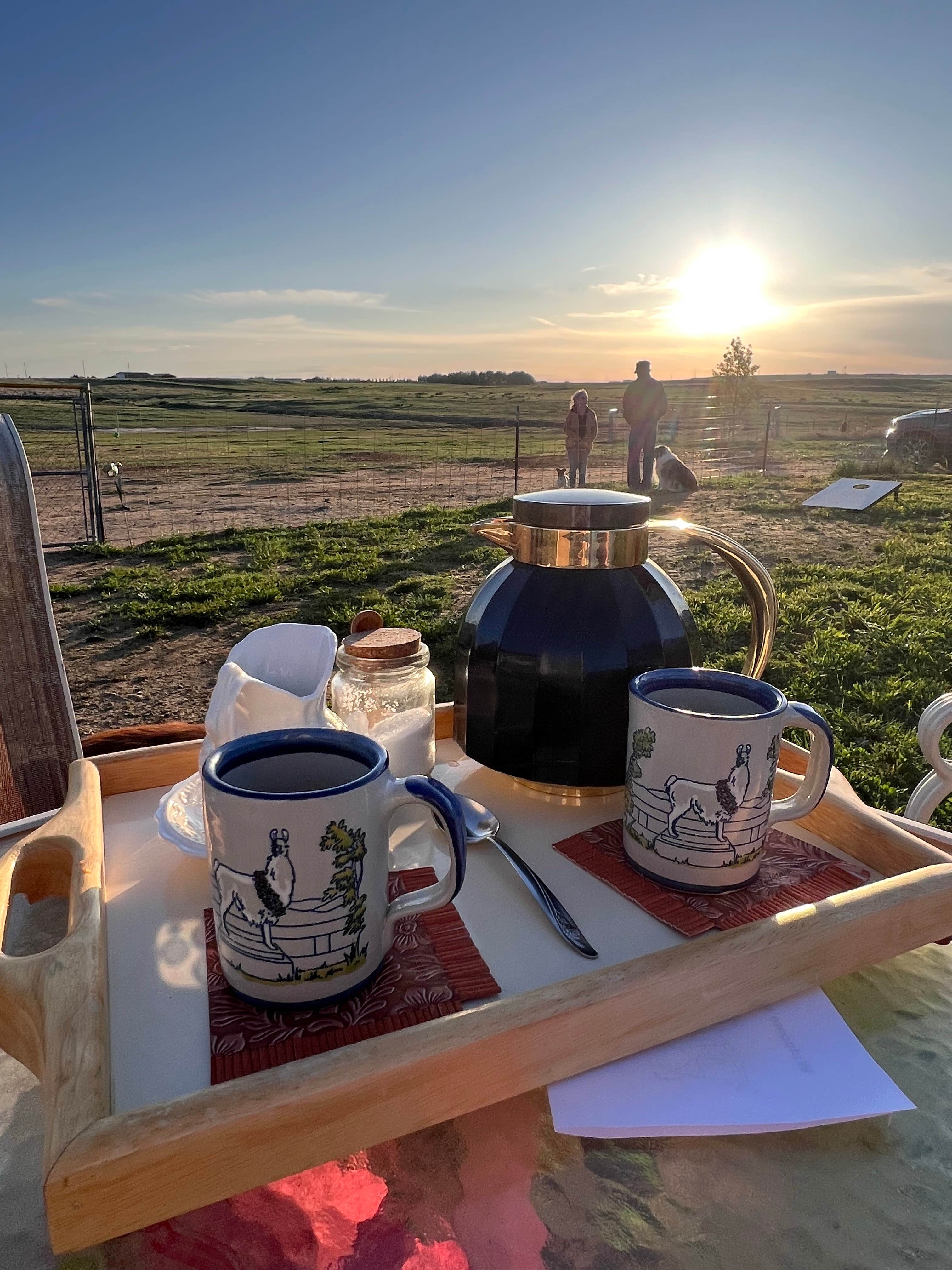 Nicole O.'s photo of camping with pets at Cloud Peak Llama and Alpaca Ranch near Alcova, WY