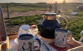 Nicole O.'s photo of camping with pets at Cloud Peak Llama and Alpaca Ranch near Mills, WY
