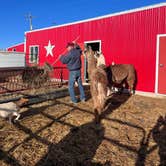 Review photo of Cloud Peak Llama and Alpaca Ranch by Nicole O., May 28, 2023