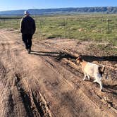 Review photo of Cloud Peak Llama and Alpaca Ranch by Nicole O., May 28, 2023