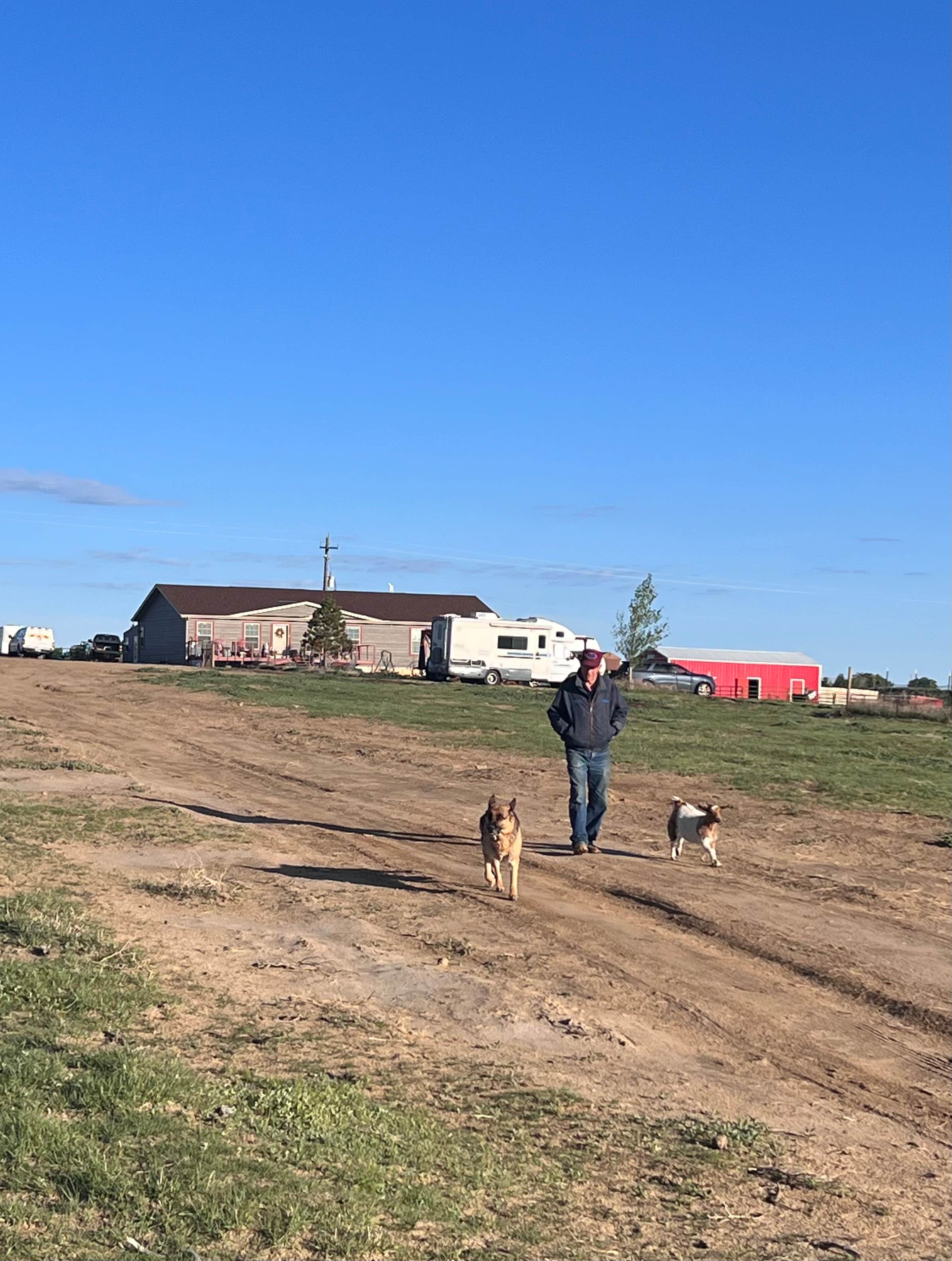 Nicole O.'s photo of camping with pets at Cloud Peak Llama and Alpaca Ranch near Mills, WY