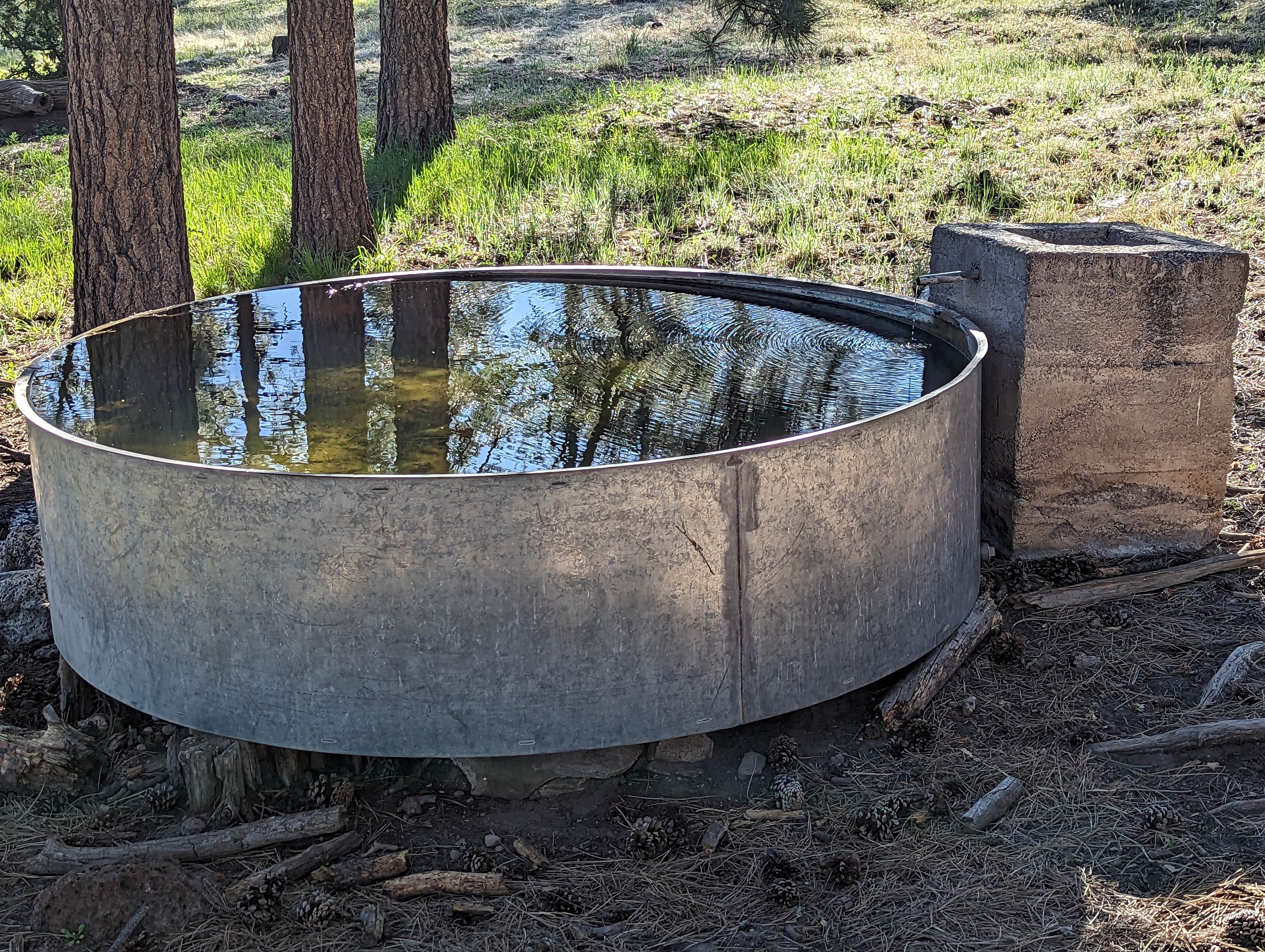 Camper-submitted photo at Armijo Springs Campground near Quemado, NM