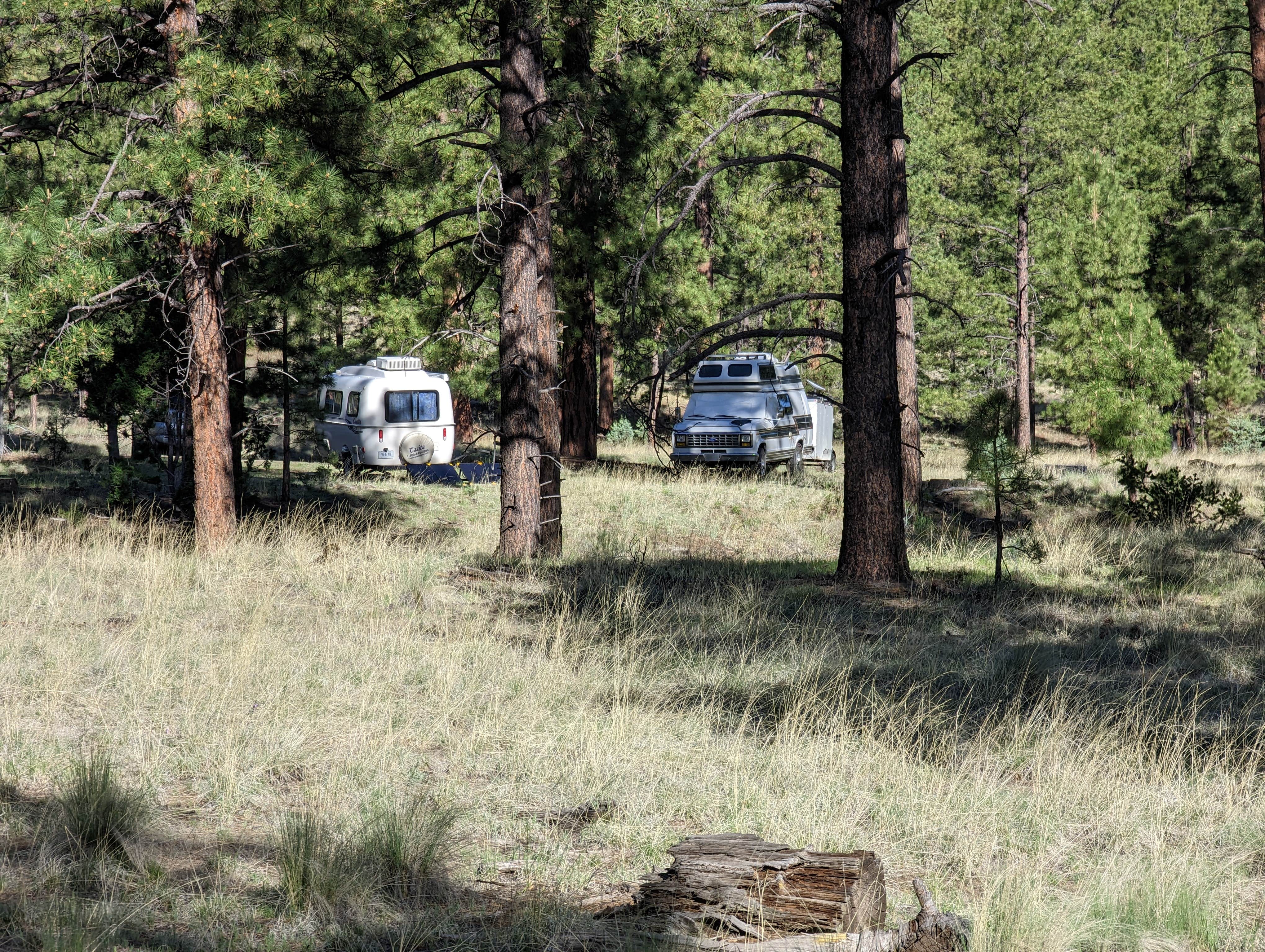 Camping near Pinon - Quemado Lake: Armijo Springs Campground, Quemado, New Mexico