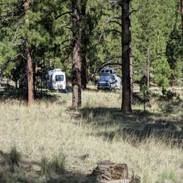 Armijo Springs Campground