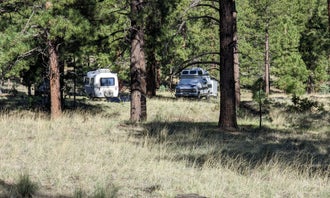 Camping near Cove Day Use Area: Armijo Springs Campground, Quemado, New Mexico